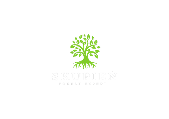 Skupień Forest Expert